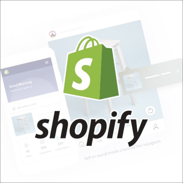 I Will Build You A Professional Shopify Website